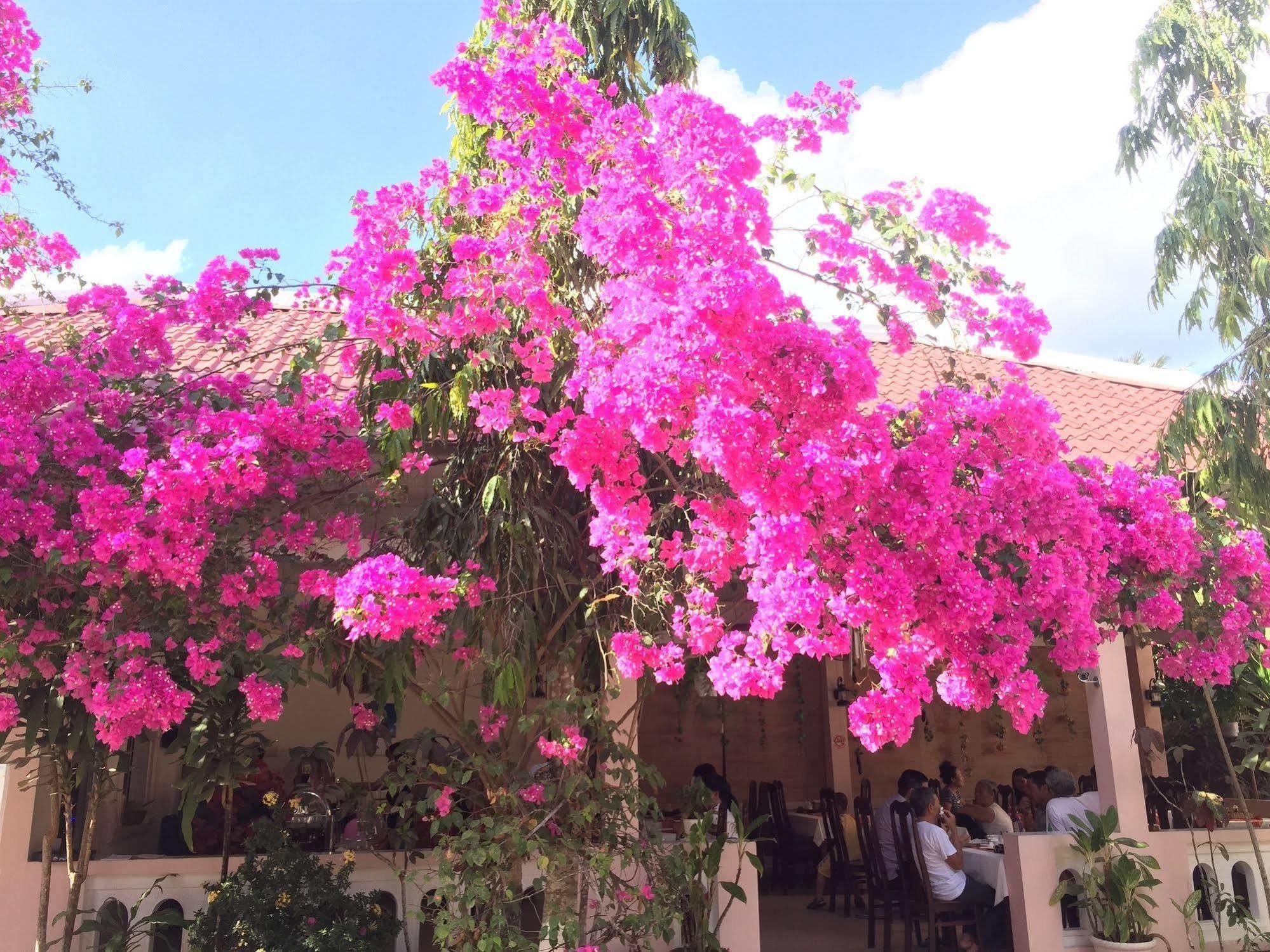 Hiep Thanh Resort Phú Quốc Exterior foto
